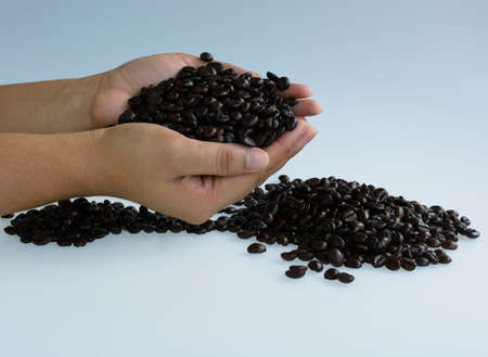 A double handful of dark roasted coffee beansの写真素材