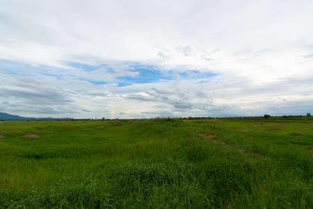 Tranquil grassland at sunriseの写真素材