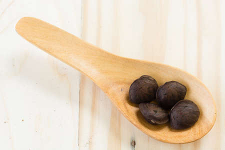 Plukenetia volubilis, commonly known as sacha inchi or Inca peanut. Selective focusの写真素材