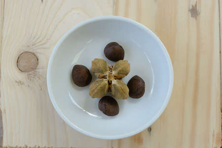 Plukenetia volubilis, commonly known as sacha inchi or Inca peanut. Selective focusの写真素材