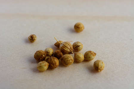 coriander seeds on wooden table close upの写真素材