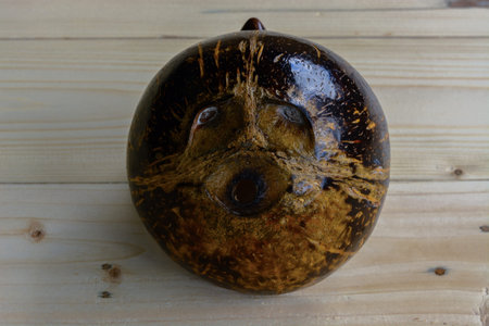 Coconut sliced on woodden background