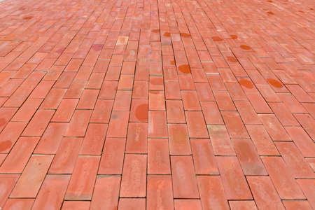 red bricks walkway in gardenの写真素材