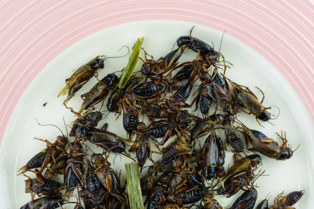 fried crickets on White dish, fried crickets are regional delicacies in Thailand