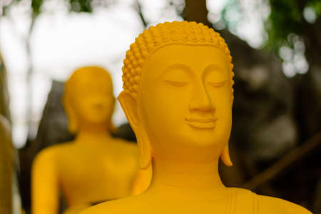 Buddha headの写真素材