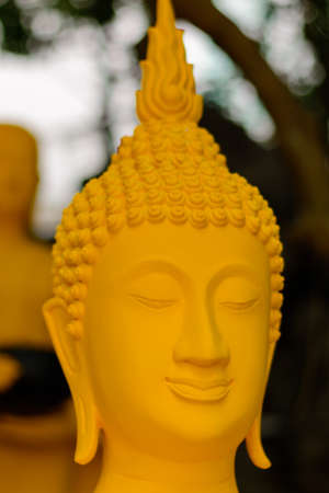 Buddha headの写真素材