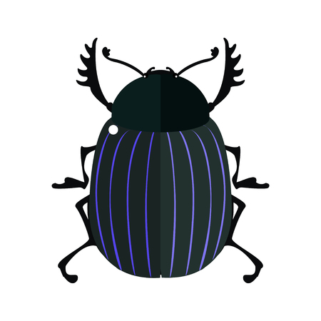 Scarab. Vector illustration of a scarab beetle. Isolated on a white background.のイラスト素材