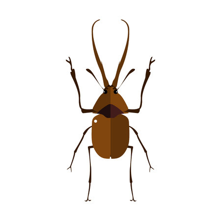 Vector illustration of a stag beetle. Isolated on a white background.のイラスト素材