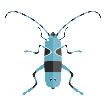 Vector illustration of a Rosalia Alpina. Isolated on a white background.のイラスト素材