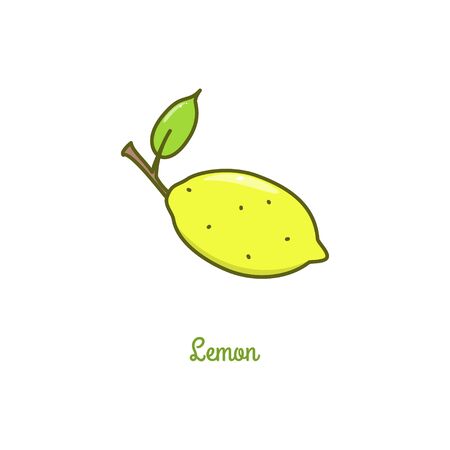 Lemon. Vector illustration isolated on a white background.のイラスト素材
