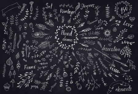 Hand Drawn vintage floral elements. Set of flowers. Decorative elements, hand drawn doodle frames, dividers, borders, elements. Isolatedのイラスト素材