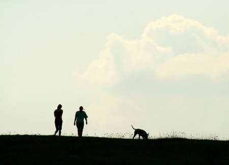 silhouette of two girls and a dogの写真素材