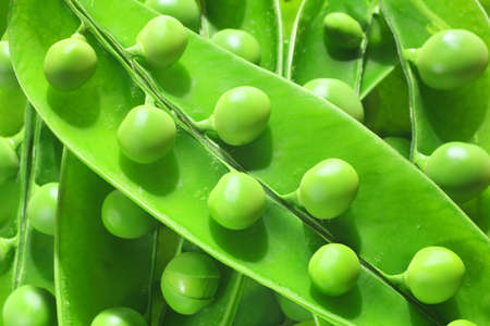 green peapods isolated in whiteの写真素材