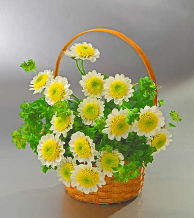 bunch of the flowers arranged in the basket isolated in grayの写真素材