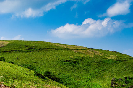 Beautiful green grass rolling hills of Chikmagalur,Indiaの写真素材