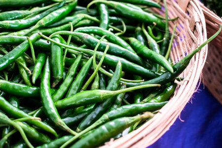 Collection of fresh hot green chilies on wicker basket.の写真素材