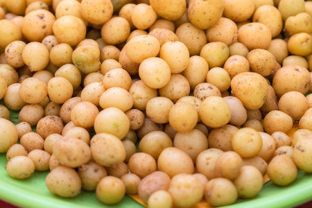 Collection of fresh baby potatoes on a plate.の写真素材