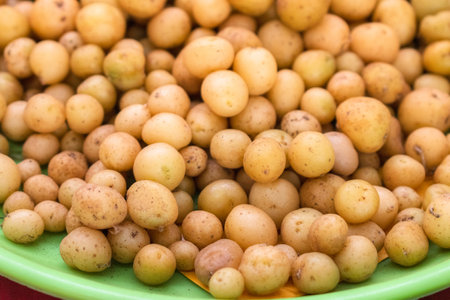 Collection of fresh baby potatoes on a plate.の写真素材
