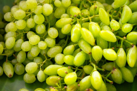 Fresh grapes collection, beautiful background.の写真素材