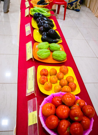 Collection of fresh tomatoes and egg-plants on plates.の写真素材