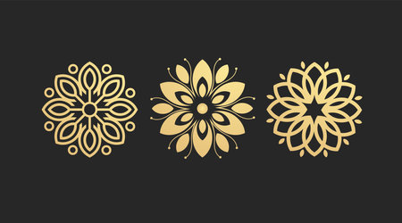 Vector set of mandala. Vintage decorative elements. Hand drawn background. Islam, Arabic, Indian, ottoman motifs.のイラスト素材