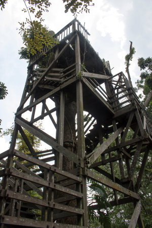 forest ranger wood post outpost tower in jungleの写真素材
