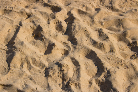 Beach sand macro close up photo