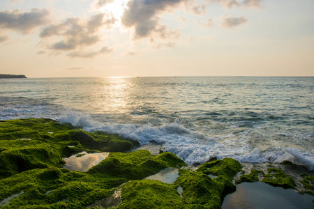 beautiful beach view summer holiday photo