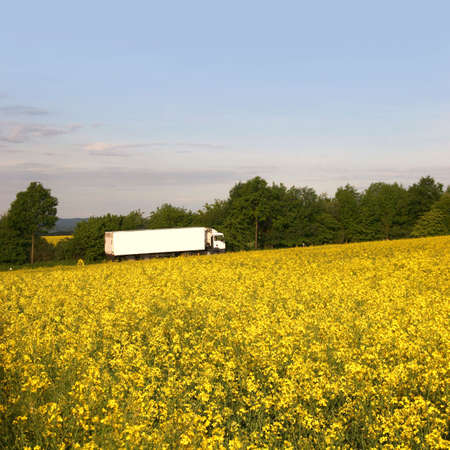 White truck behind a bright rape field, seen near Kassel, Germanyの写真素材