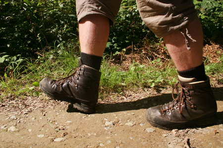 Legs with hiking boots of a wanderer in the german Sauerland mountainsの写真素材