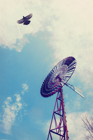 Bird and windmillの写真素材