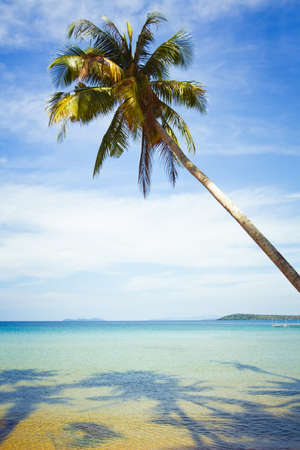 abstract tropical beachの写真素材