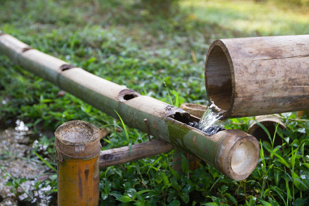 bamboo ecological watering systemの写真素材