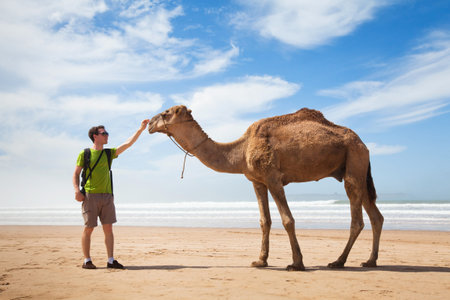 camel and tourist