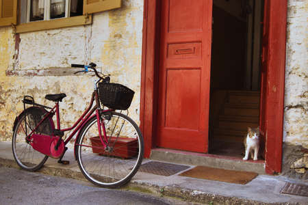 vintage bicycle and cat on the street, Greeceの写真素材