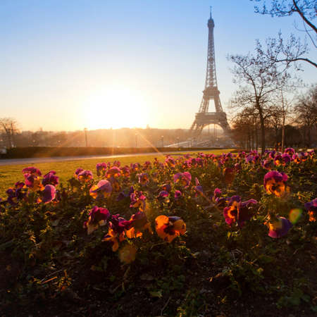 flowers near Eiffel tower, Paris, Franceの写真素材