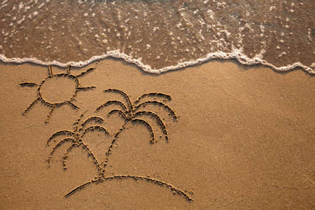 beach background with palm treesの写真素材