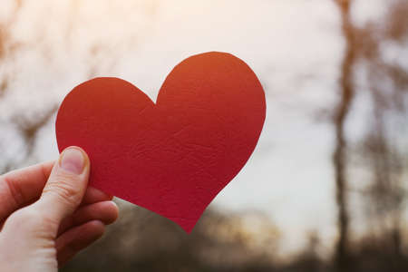 valentines day card, hand holding heartの写真素材