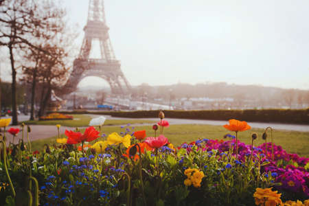 Paris, flowers and Eiffel towerの写真素材