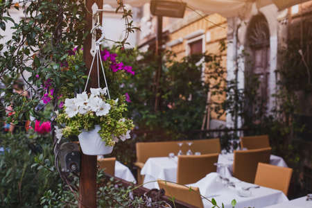 terrace of restaurant with flowersの写真素材