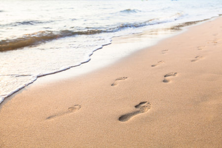 Footprints of couple on the sand of beachの写真素材