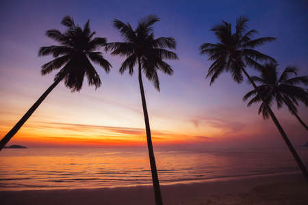 paradise tropical beach at sunset, exotic landscape with silhouettes of palm treesの写真素材