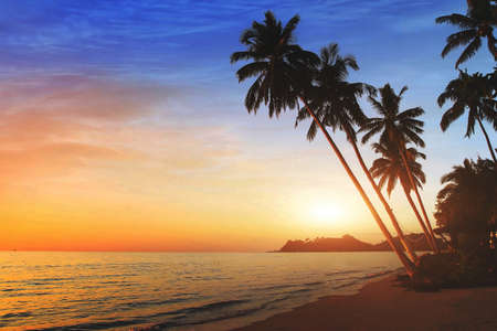 beautiful exotic beach landscape at sunset, tropical holidays on the seaの写真素材