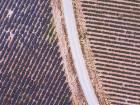 drone view of road in fields, aerial geometrical texture landscapeの写真素材