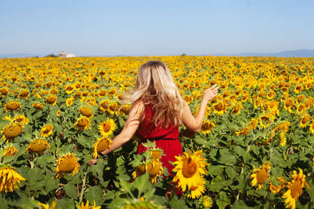 happy woman in summer sunflower field enjoying life, natural beautyの写真素材