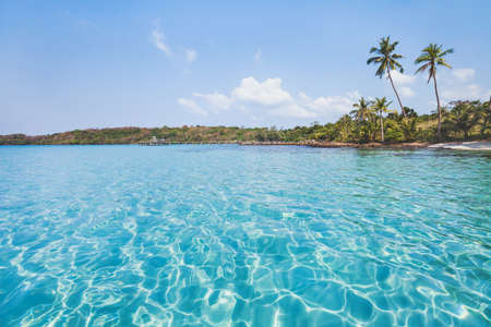 turquoise water on paradise beach on tropical island, holidays background, exotic tourism destination landscapeの写真素材