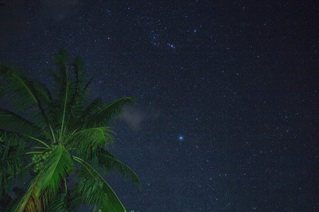 night stars deep blue sky view with palm tree on foreground in El Nido, Philippinesの写真素材