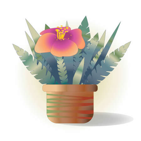llustration of a pink flower in a pot with thick foliage.のイラスト素材