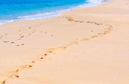 Footprints in the sand by the seaの写真素材