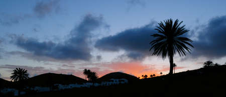 Evening at Haria, Northern Lanzarote, Canary Islands; palm trees offset against darkening sky; wide lens, long exposure with a tripodの写真素材